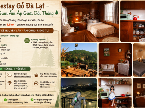 Homestay Gỗ Đà Lạt – Không Gian Ấm Áp Giữa Đồi Thông P11 Đà Lạt